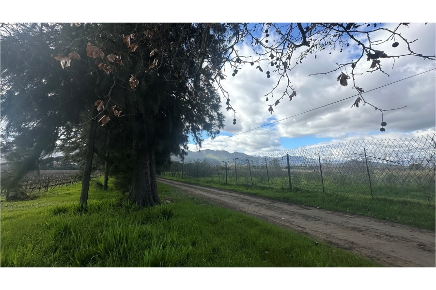0 Bedroom Property for Sale in Paarl South Western Cape